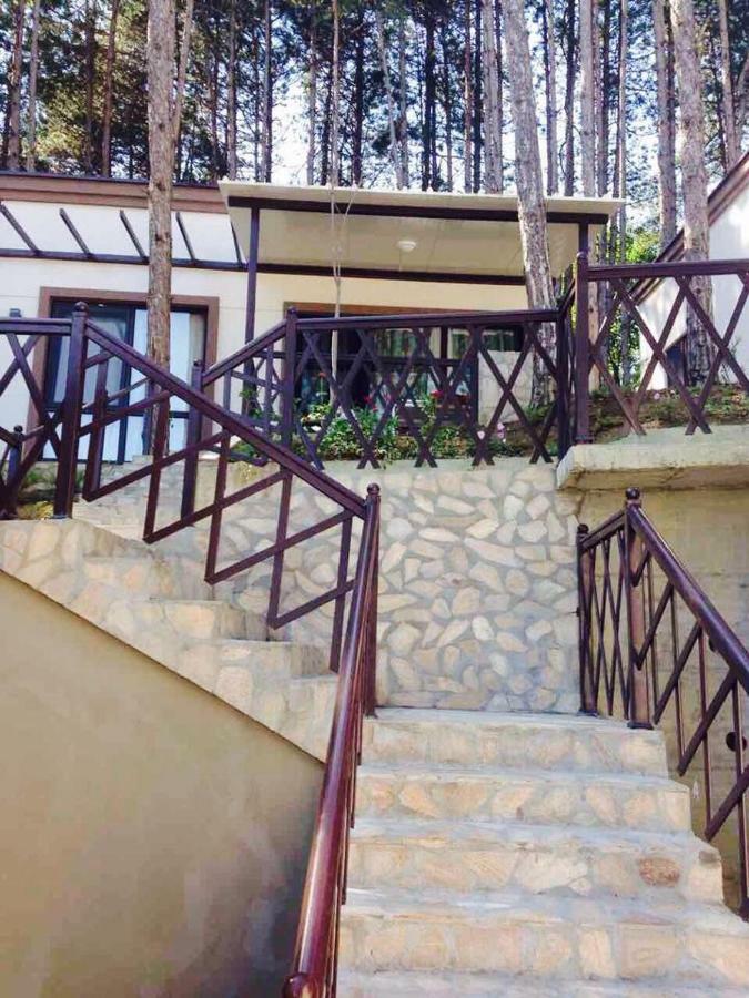 Dream View Hotel Byala  Luaran gambar